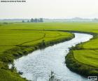 Река между рисовые поля